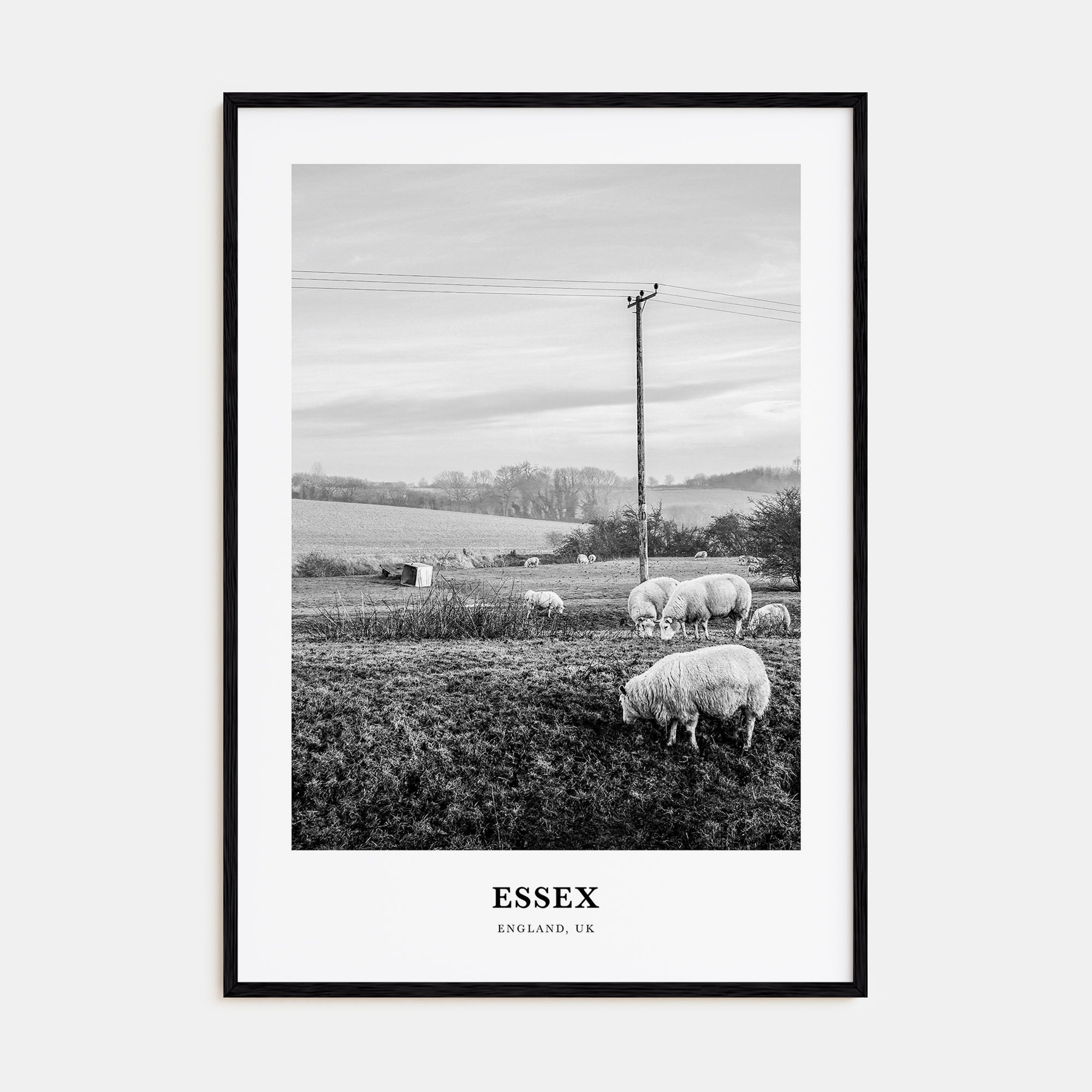 Essex Portrait B&W Poster