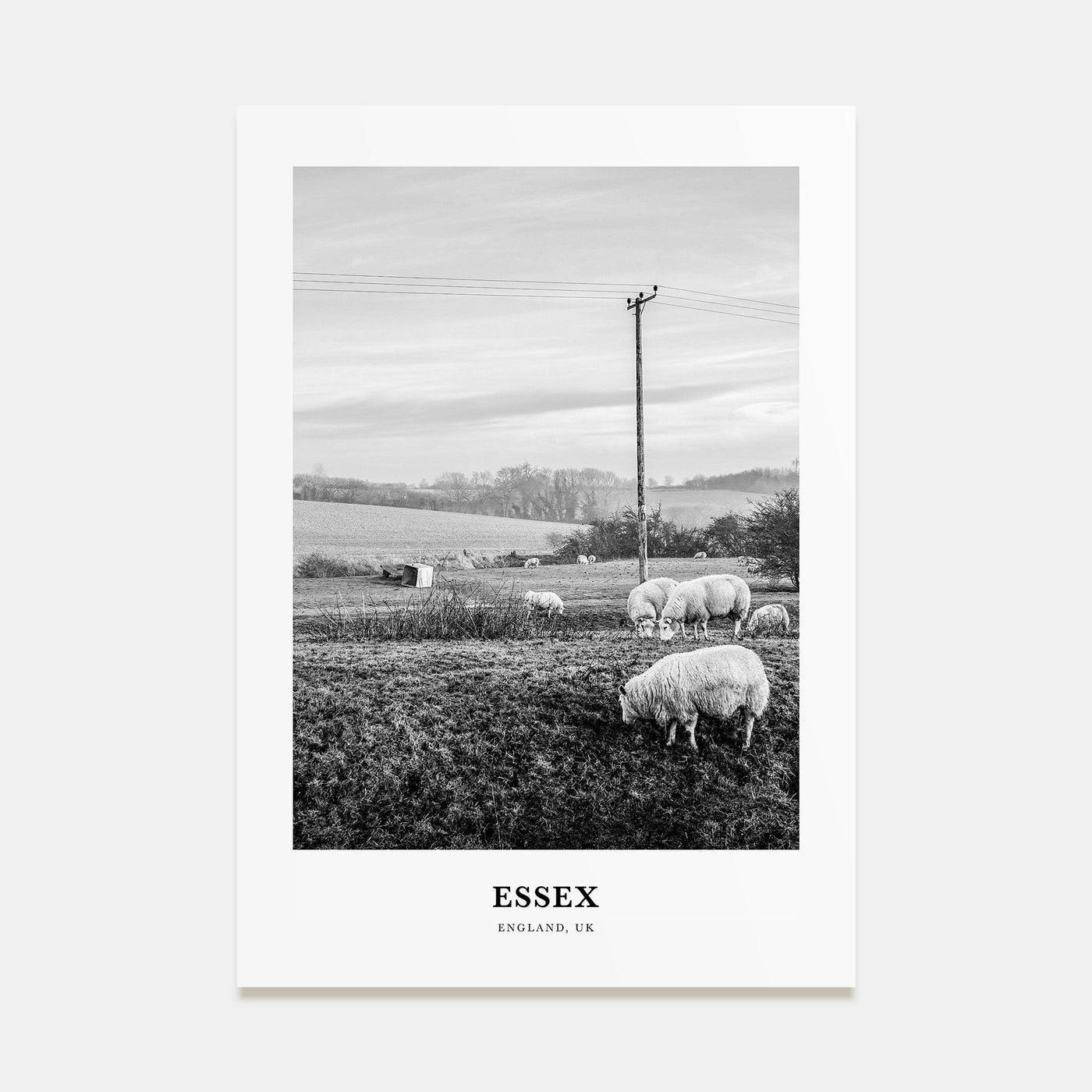 Essex Portrait B&W Poster