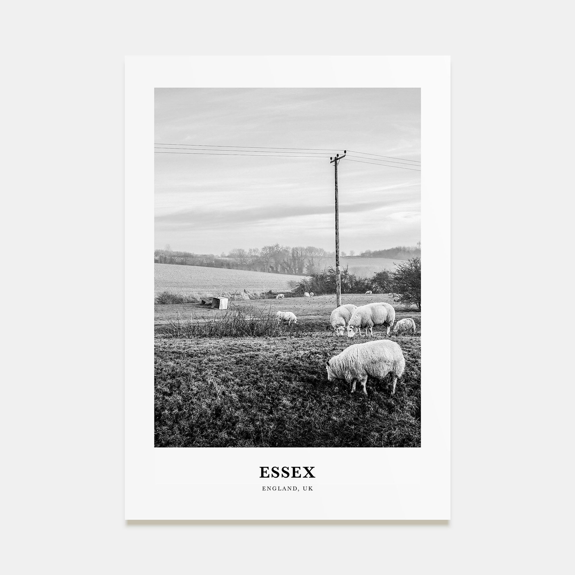 Essex Portrait B&W Poster