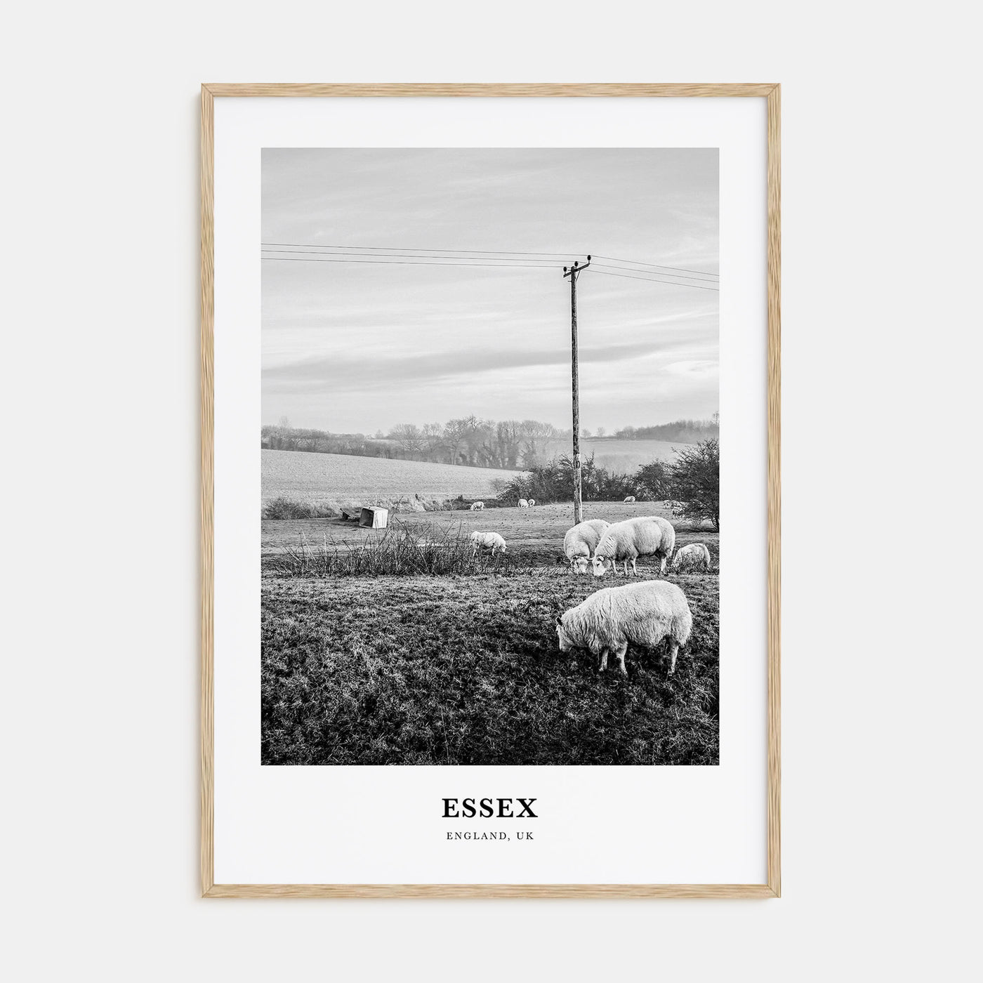 Essex Portrait B&W Poster