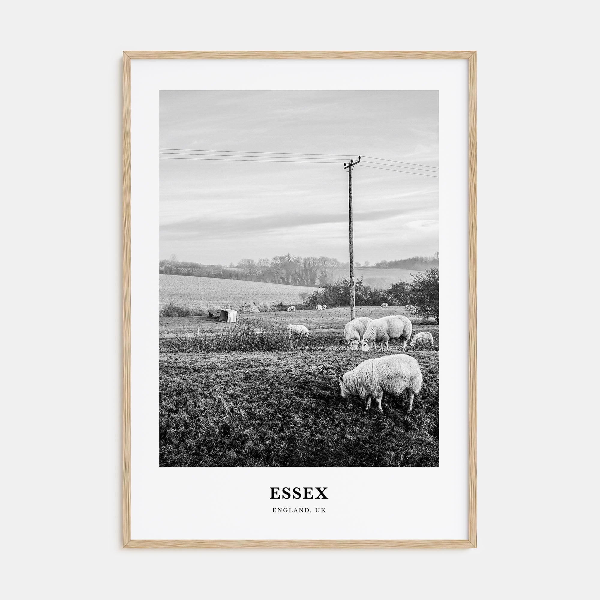 Essex Portrait B&W Poster
