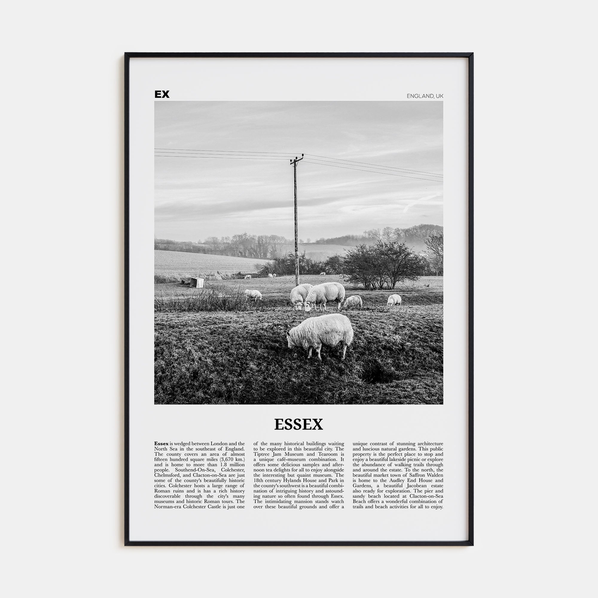 Essex Travel B&W Poster