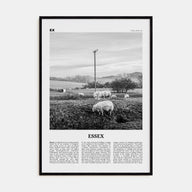 Essex Travel B&W Poster