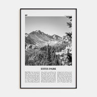 Estes Park Travel B&W Poster