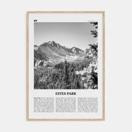 Estes Park Travel B&W Poster