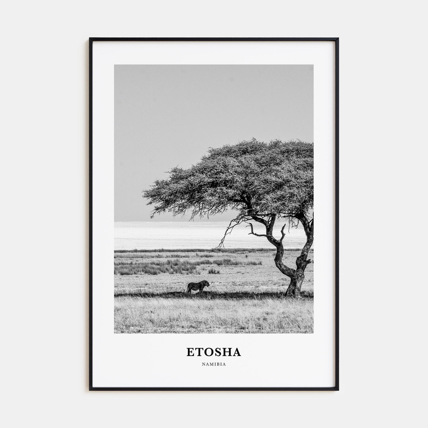 Etosha National Park Portrait B&W Poster