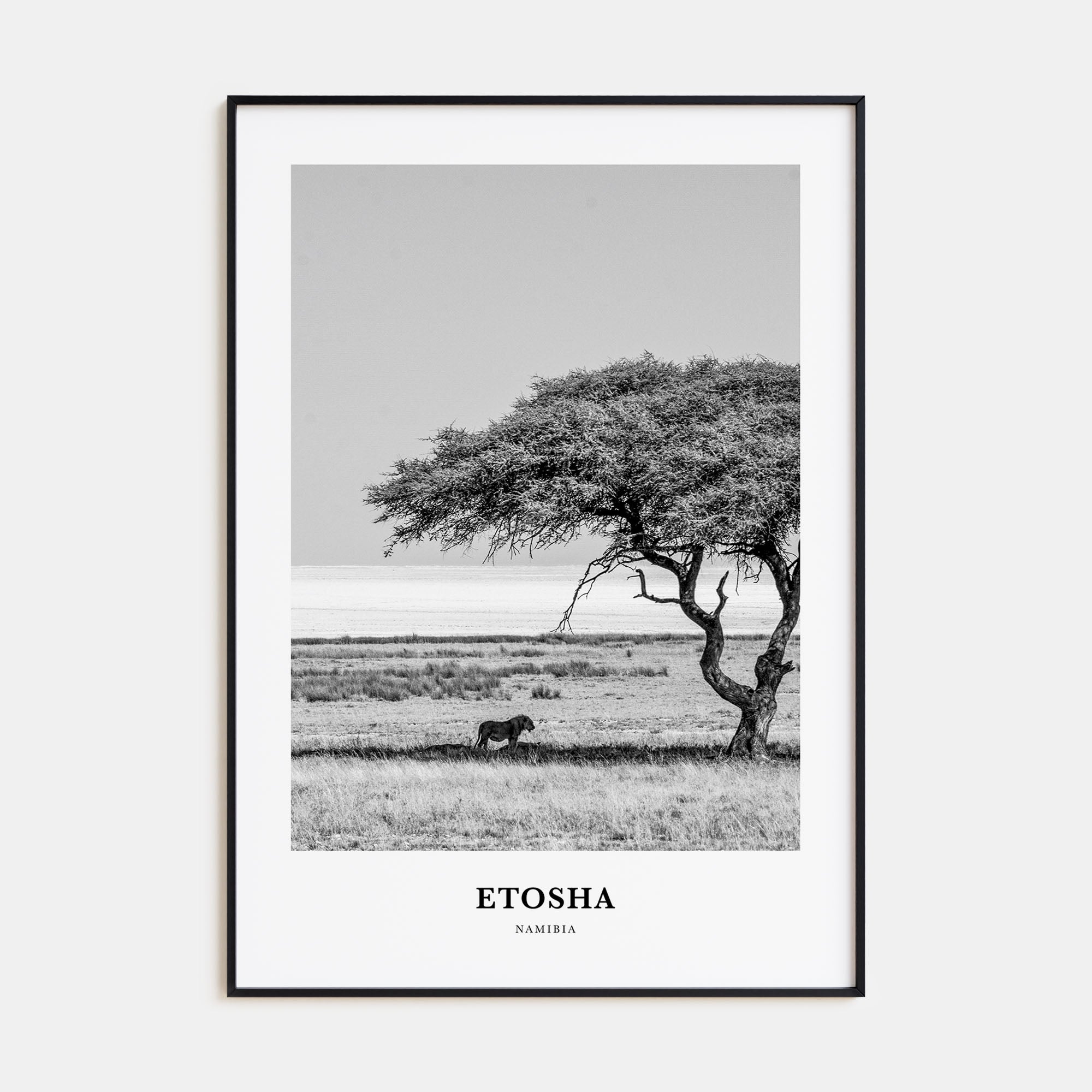 Etosha National Park Portrait B&W Poster