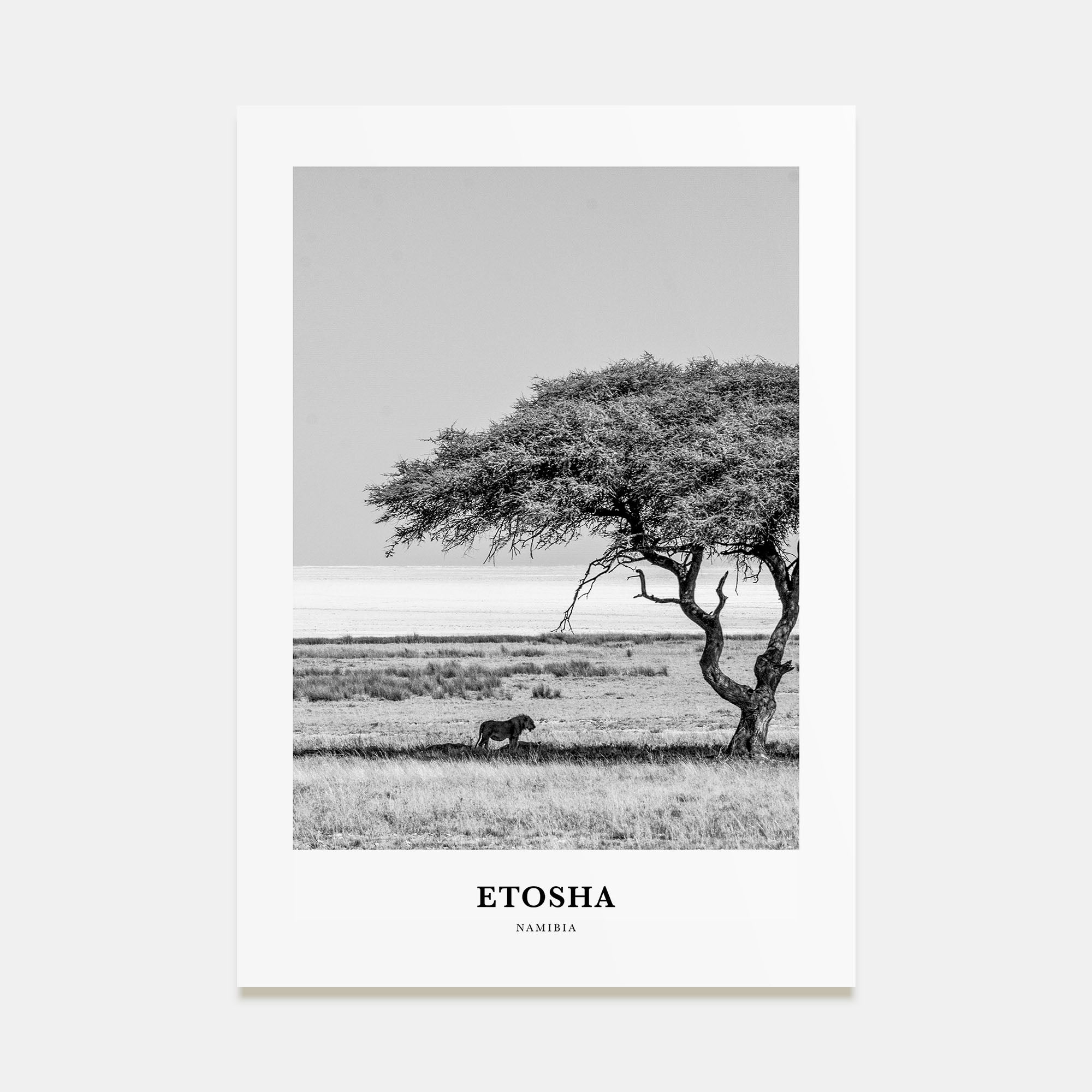 Etosha National Park Portrait B&W Poster