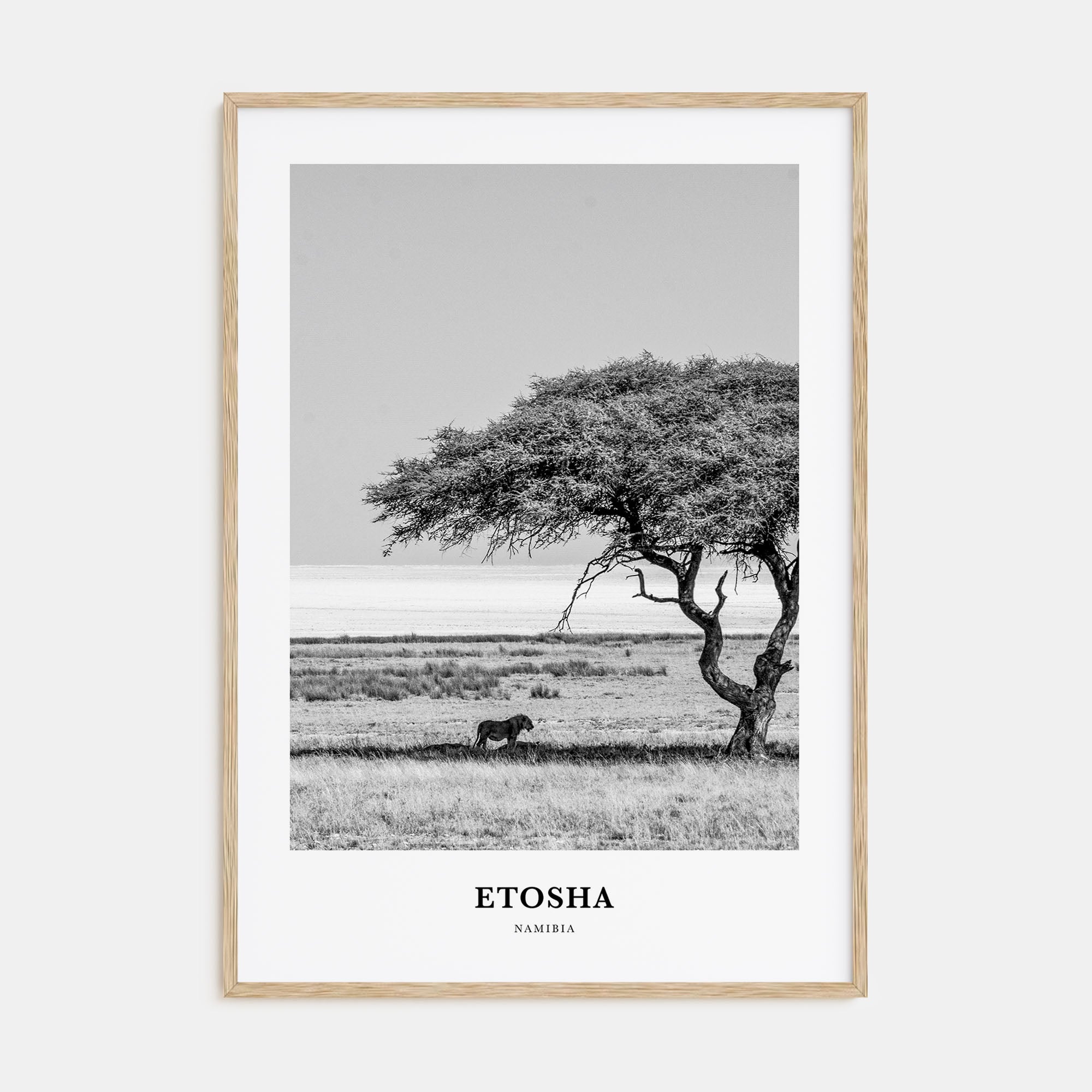 Etosha National Park Portrait B&W Poster