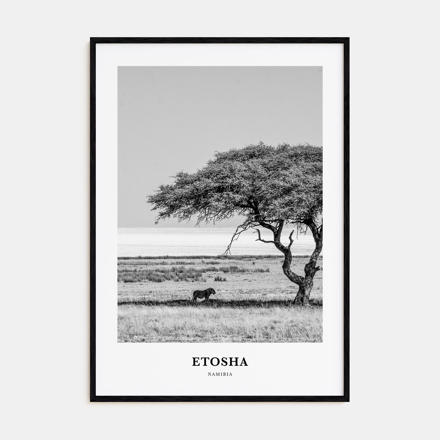 Etosha National Park Portrait B&W Poster