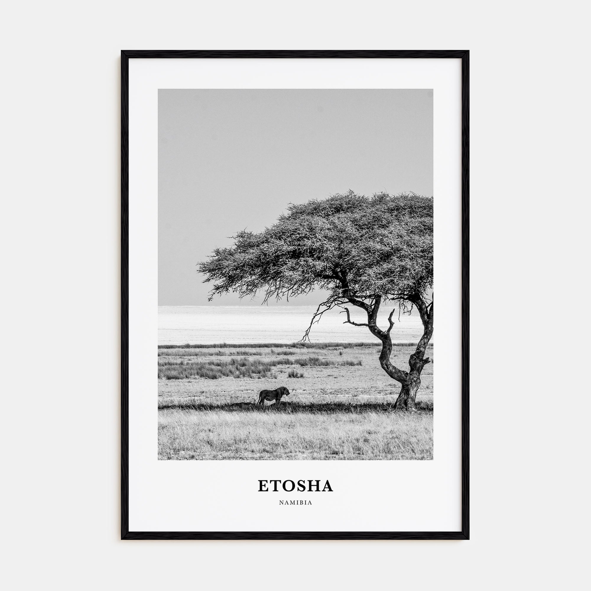 Etosha National Park Portrait B&W Poster