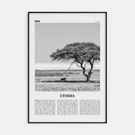 Etosha National Park Travel B&W Poster