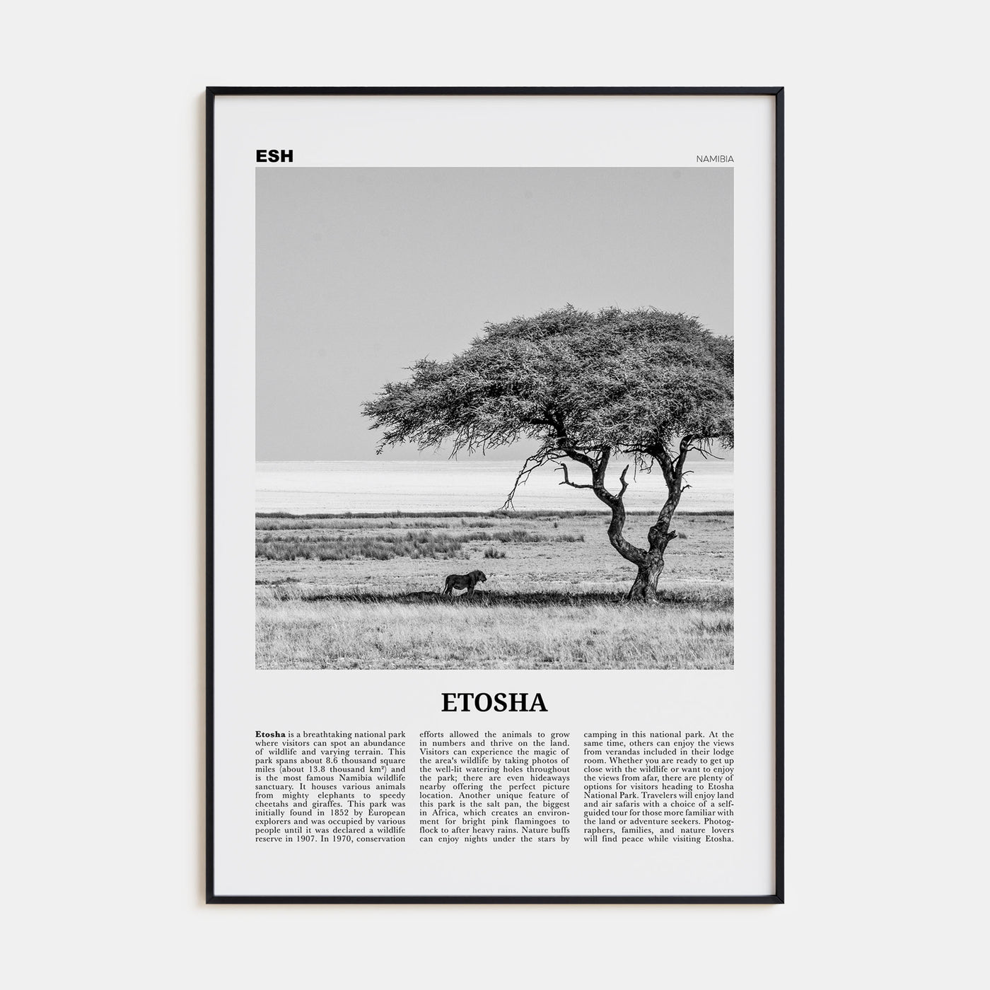Etosha National Park Travel B&W Poster