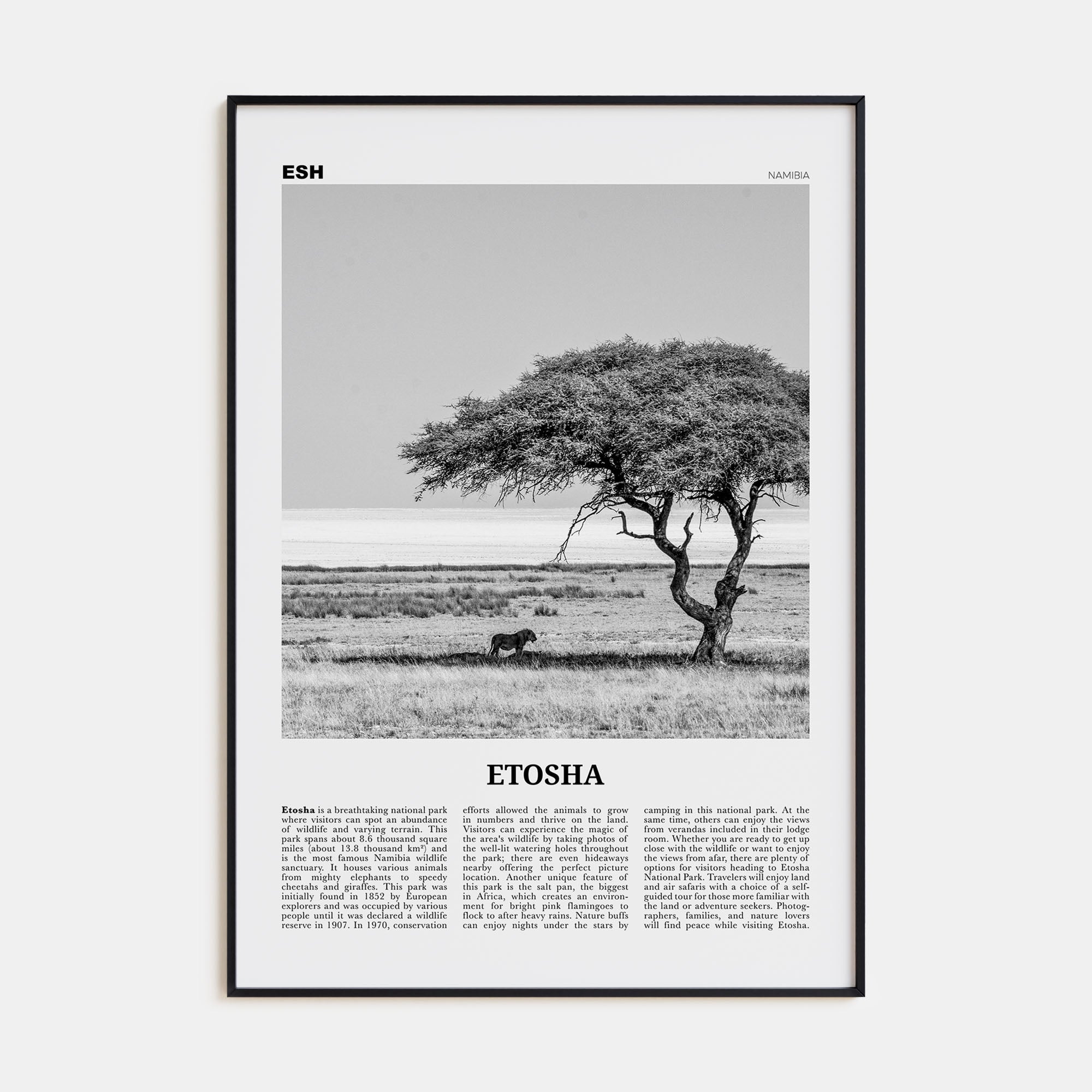 Etosha National Park Travel B&W Poster