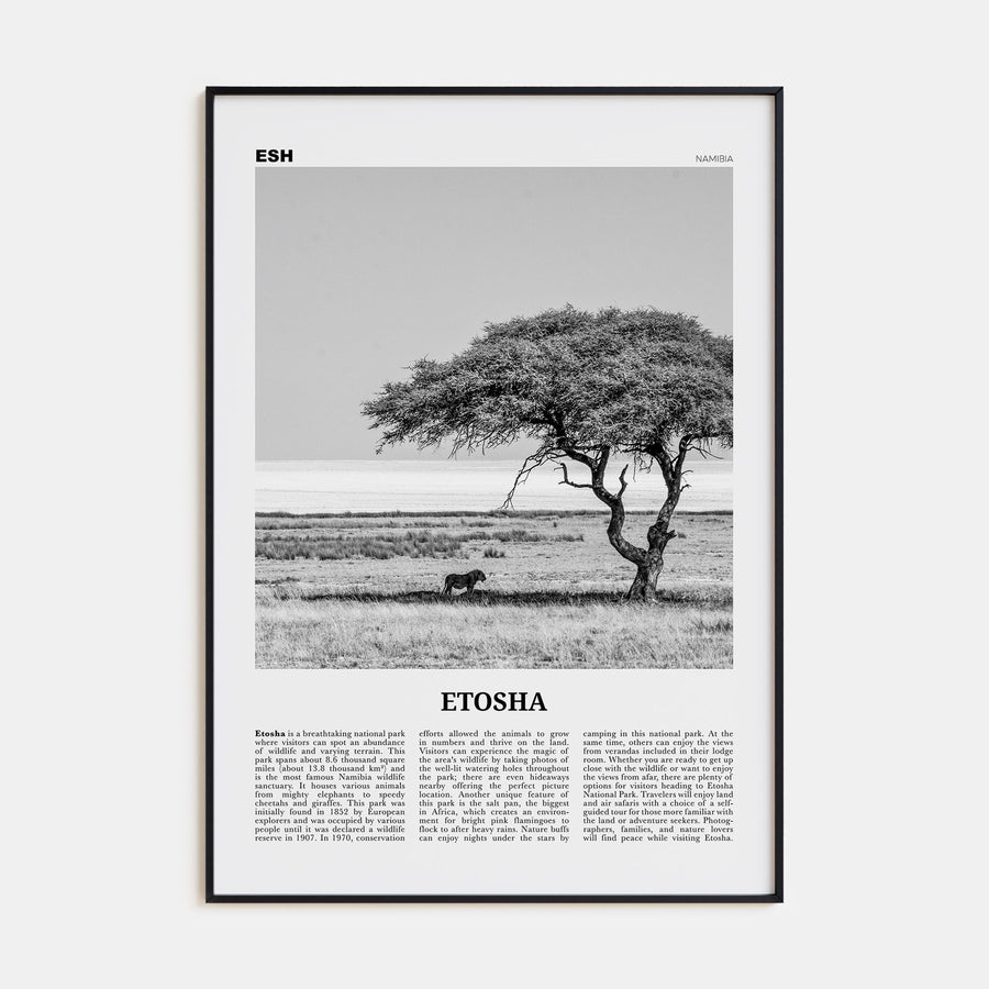 Etosha National Park Travel B&W Poster