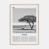 Etosha National Park Travel B&W Poster