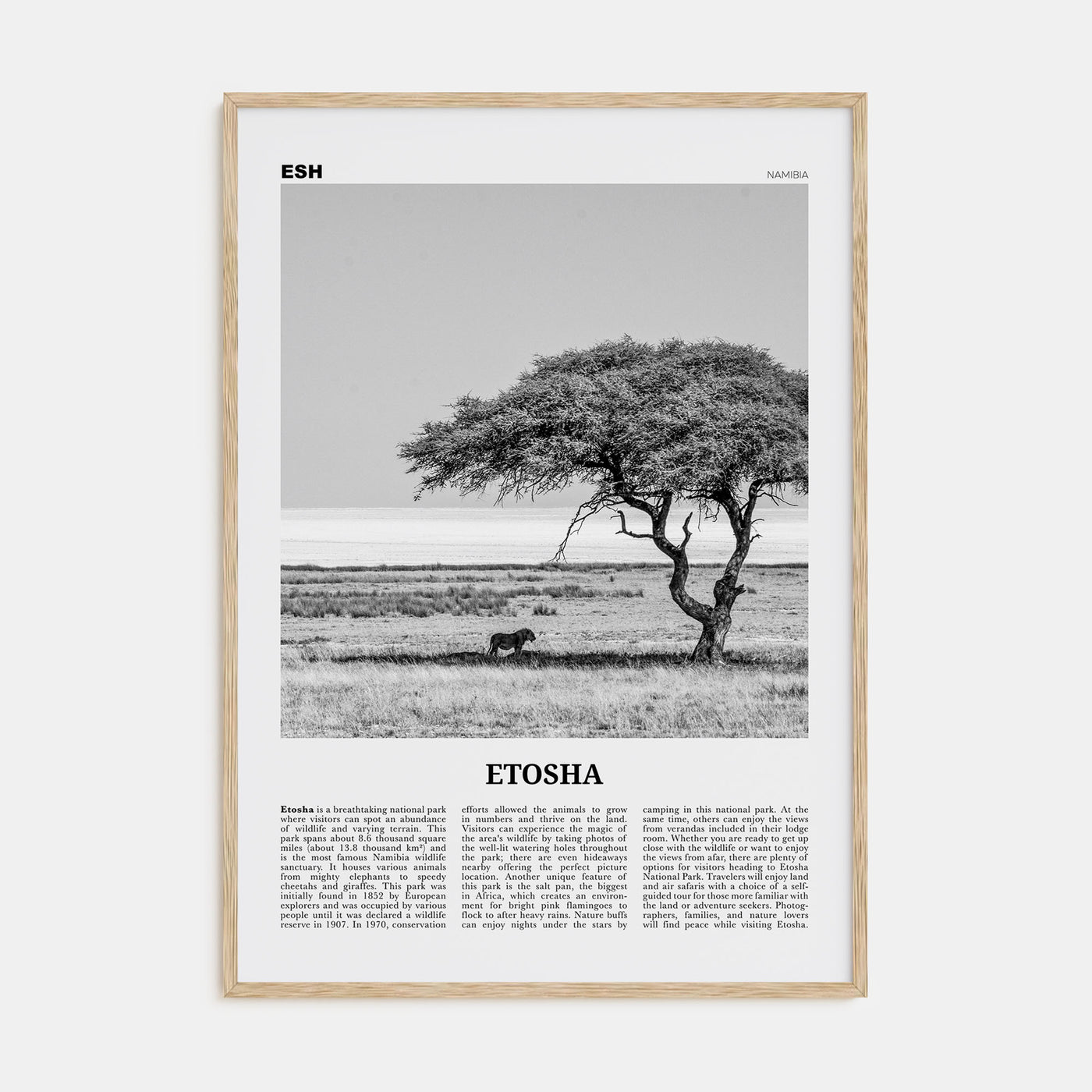Etosha National Park Travel B&W Poster