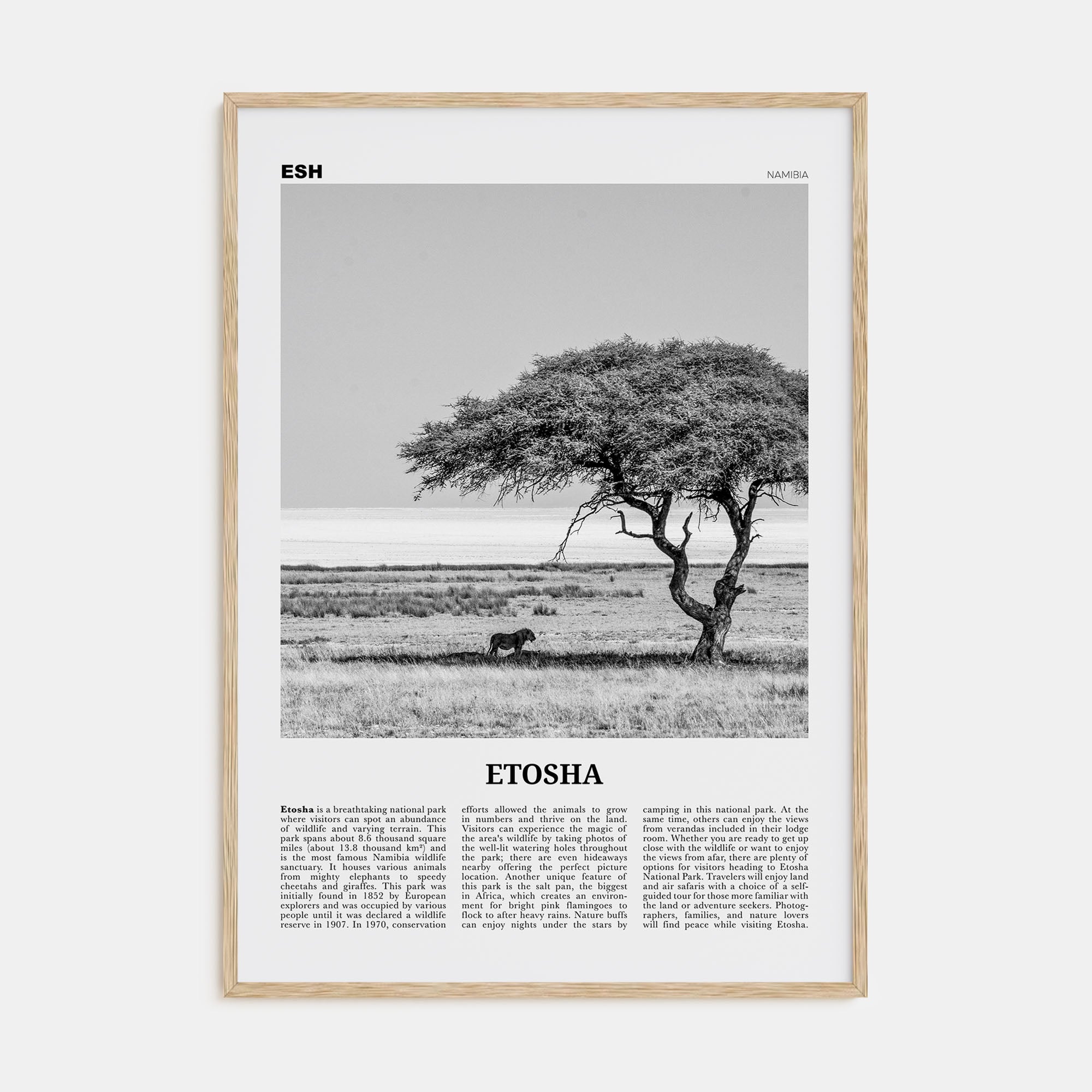 Etosha National Park Travel B&W Poster