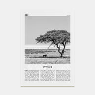 Etosha National Park Travel B&W Poster