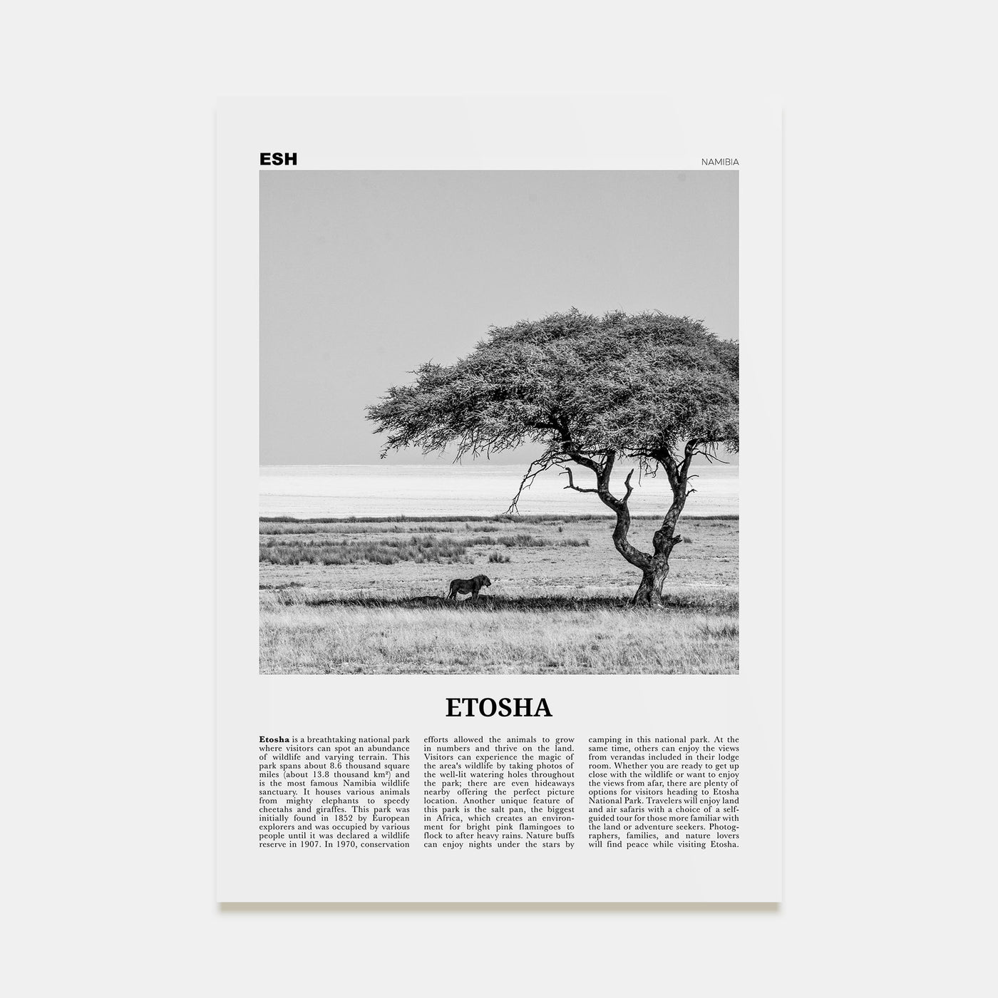 Etosha National Park Travel B&W Poster