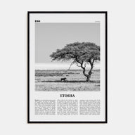 Etosha National Park Travel B&W Poster