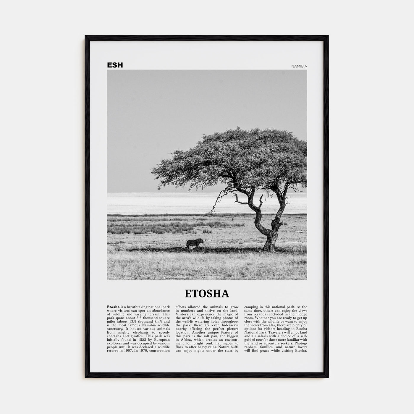 Etosha National Park Travel B&W Poster