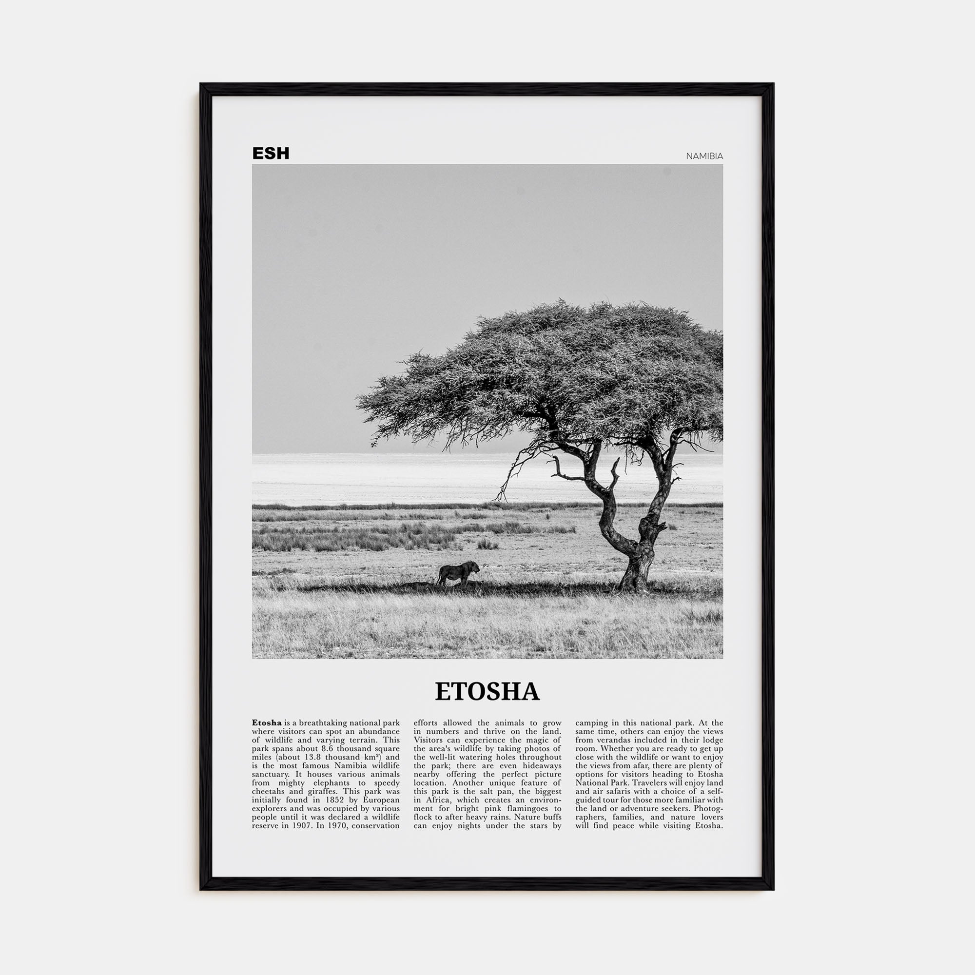Etosha National Park Travel B&W Poster