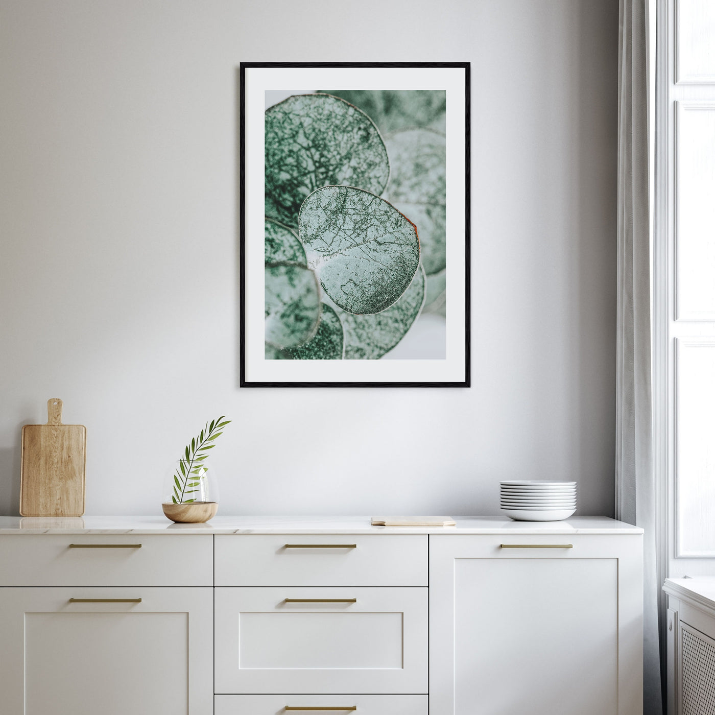 Eucalyptus Leaves Photo Color Poster