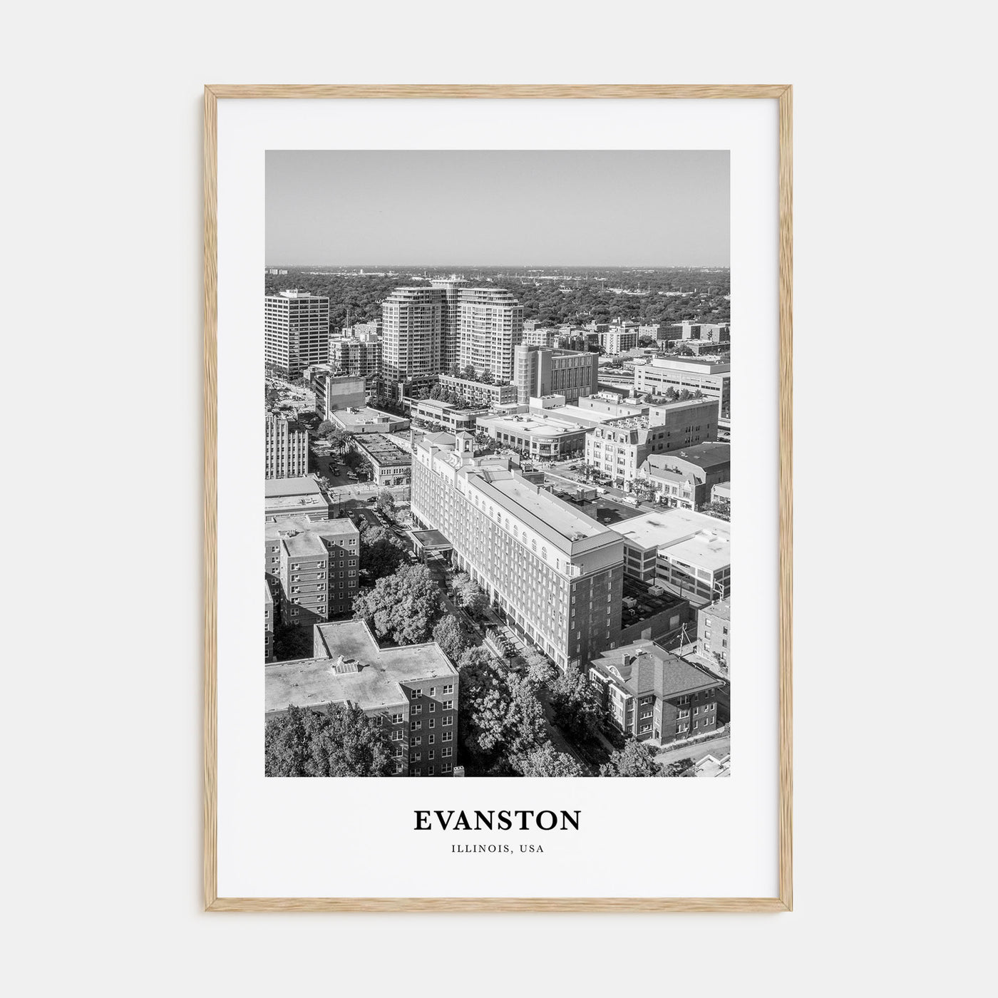 Evanston Portrait B&W Poster