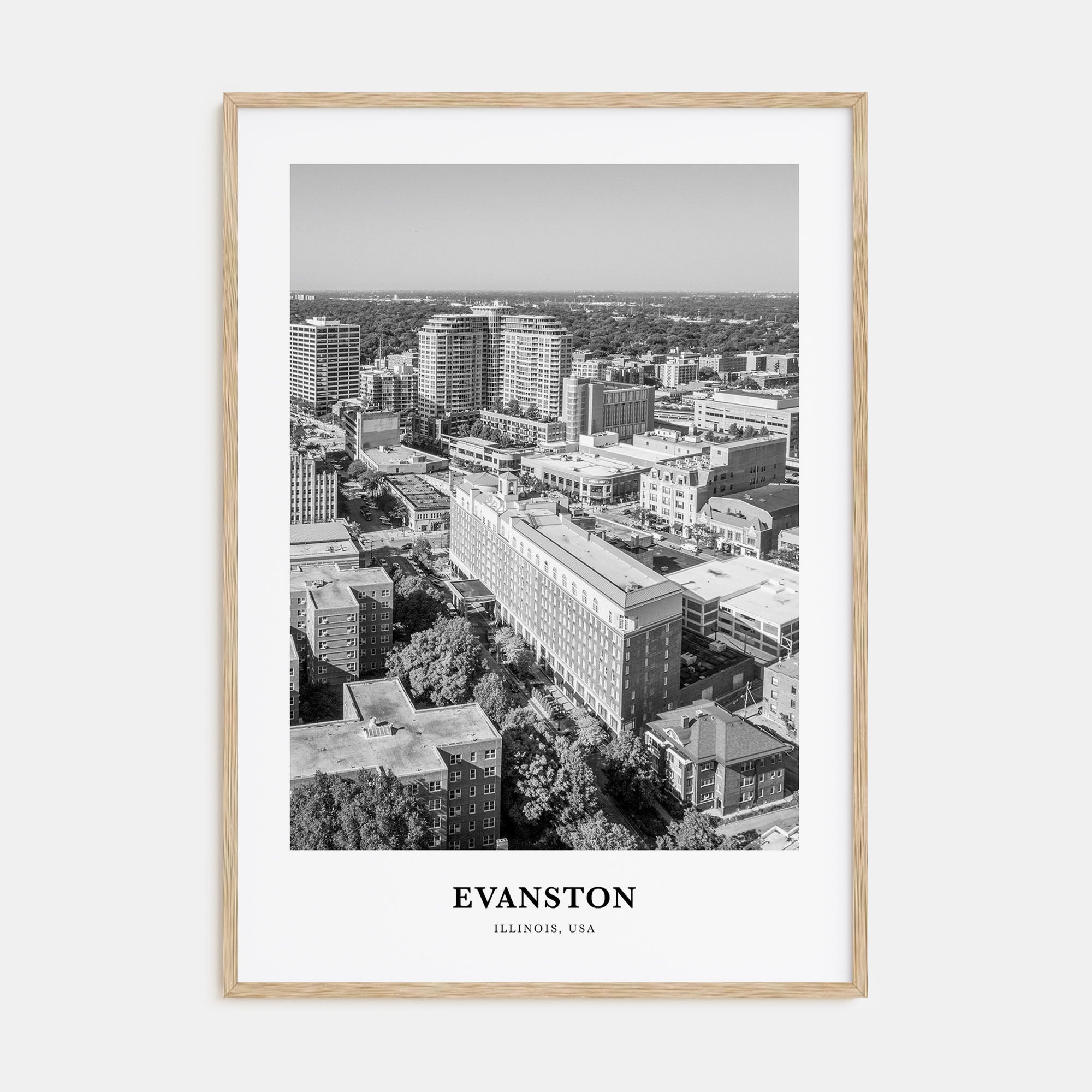 Evanston Portrait B&W Poster