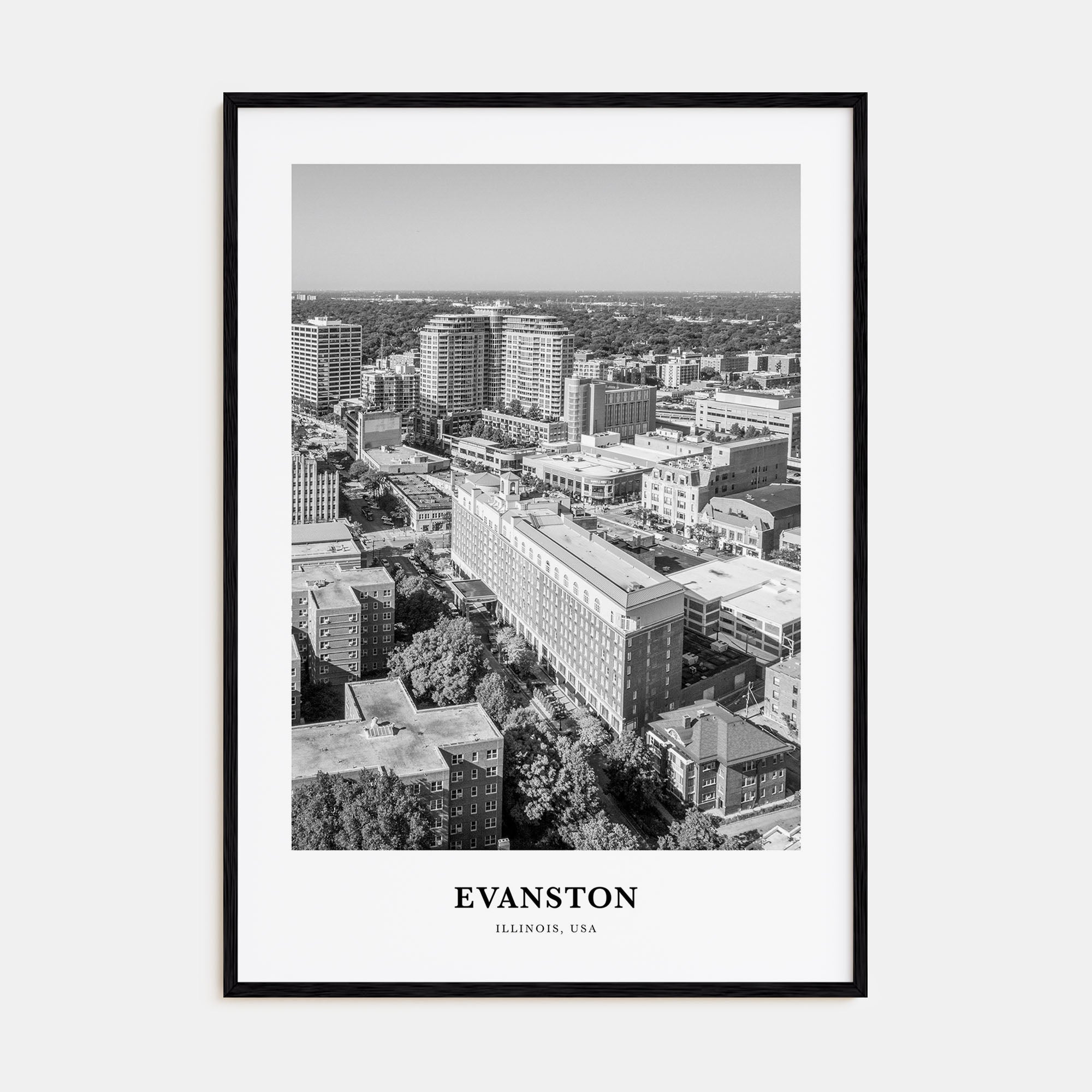 Evanston Portrait B&W Poster