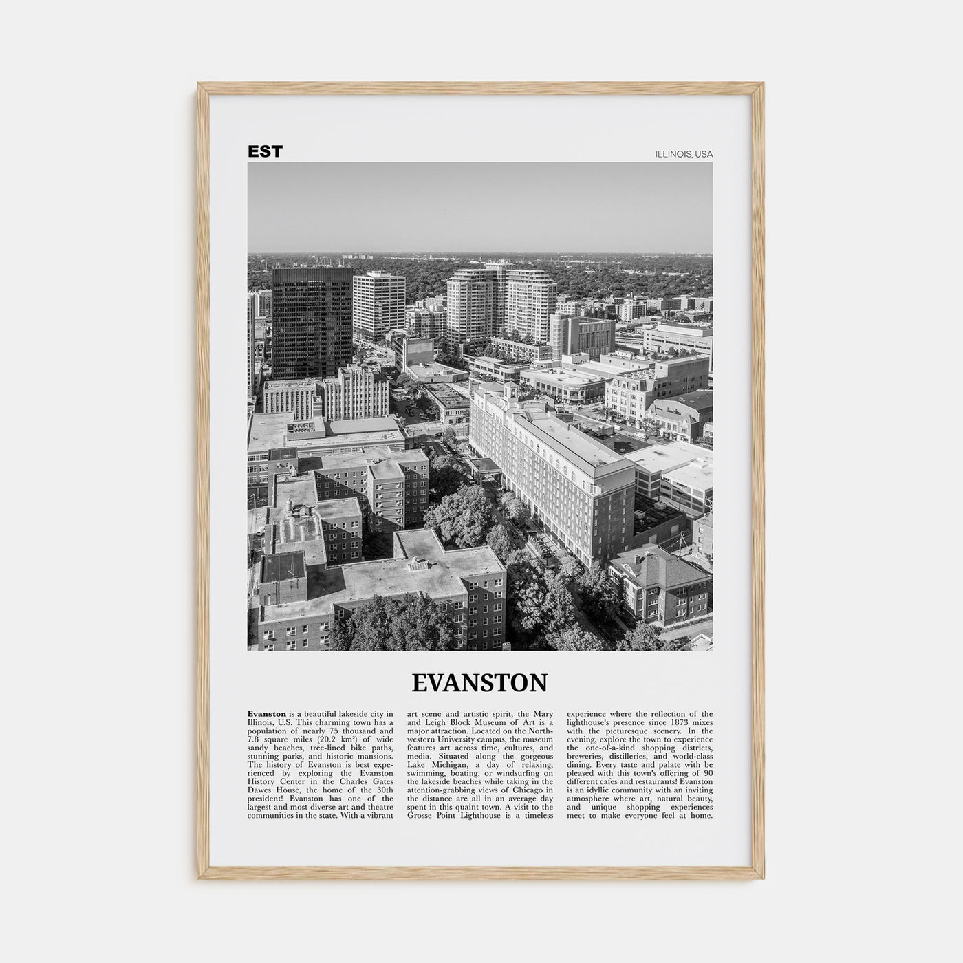 Evanston Travel B&W Poster