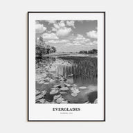 Everglades National Park Portrait B&W Poster