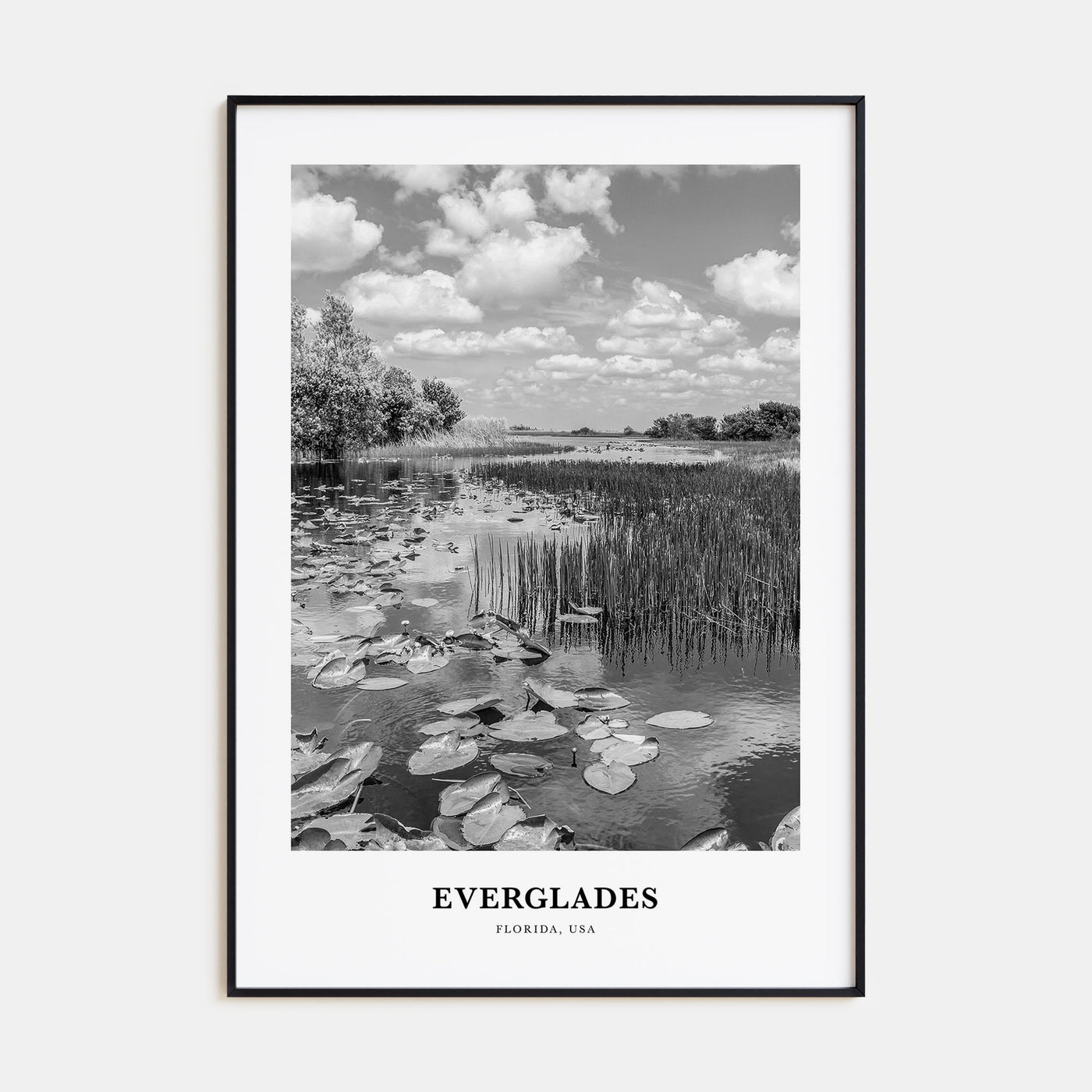 Everglades National Park Portrait B&W Poster