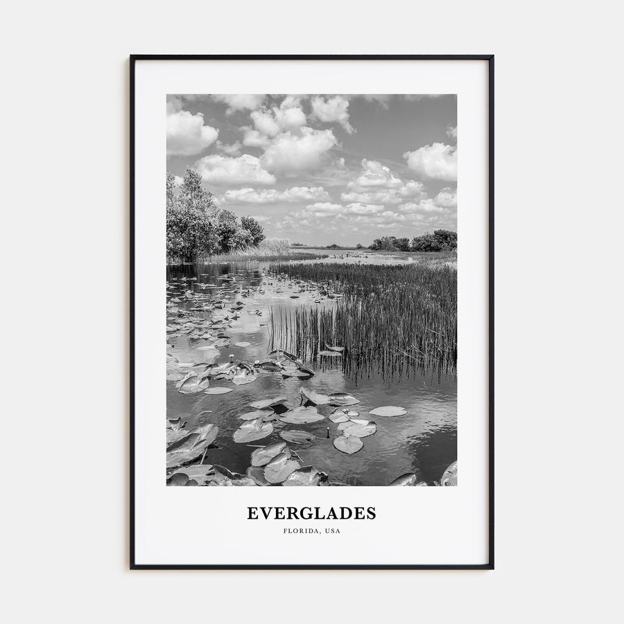 Everglades National Park Portrait B&W Poster