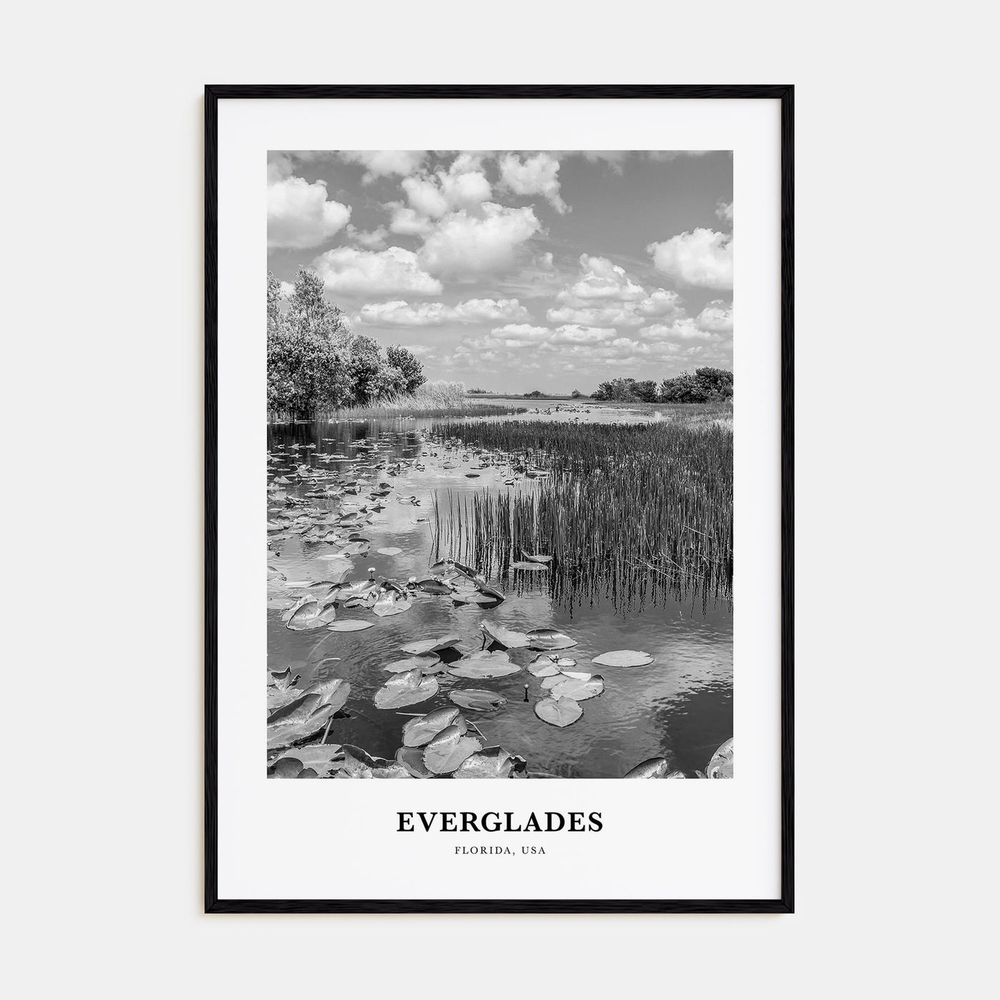 Everglades National Park Portrait B&W Poster