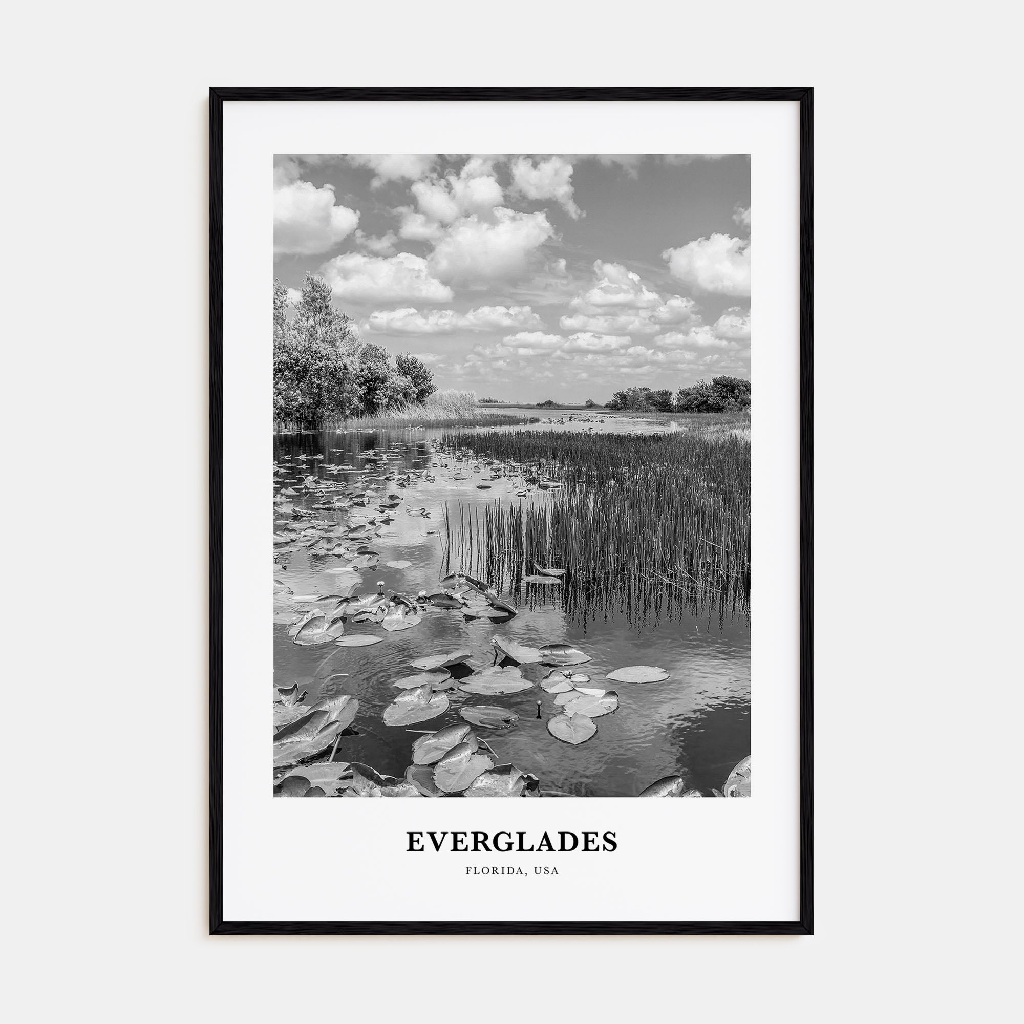 Everglades National Park Portrait B&W Poster