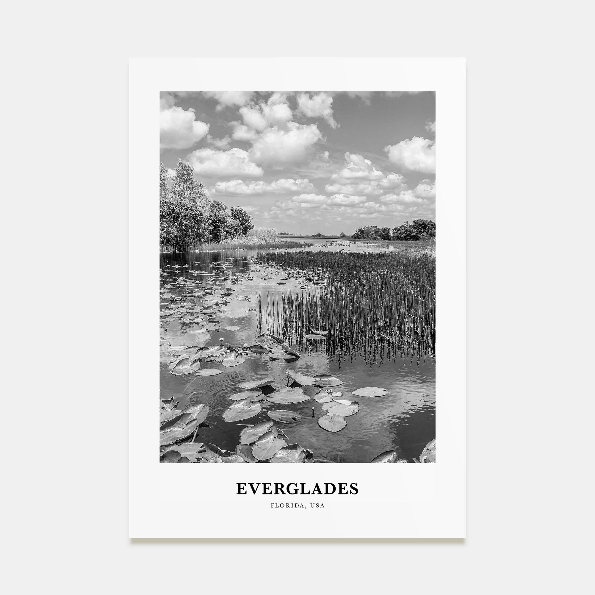 Everglades National Park Portrait B&W Poster