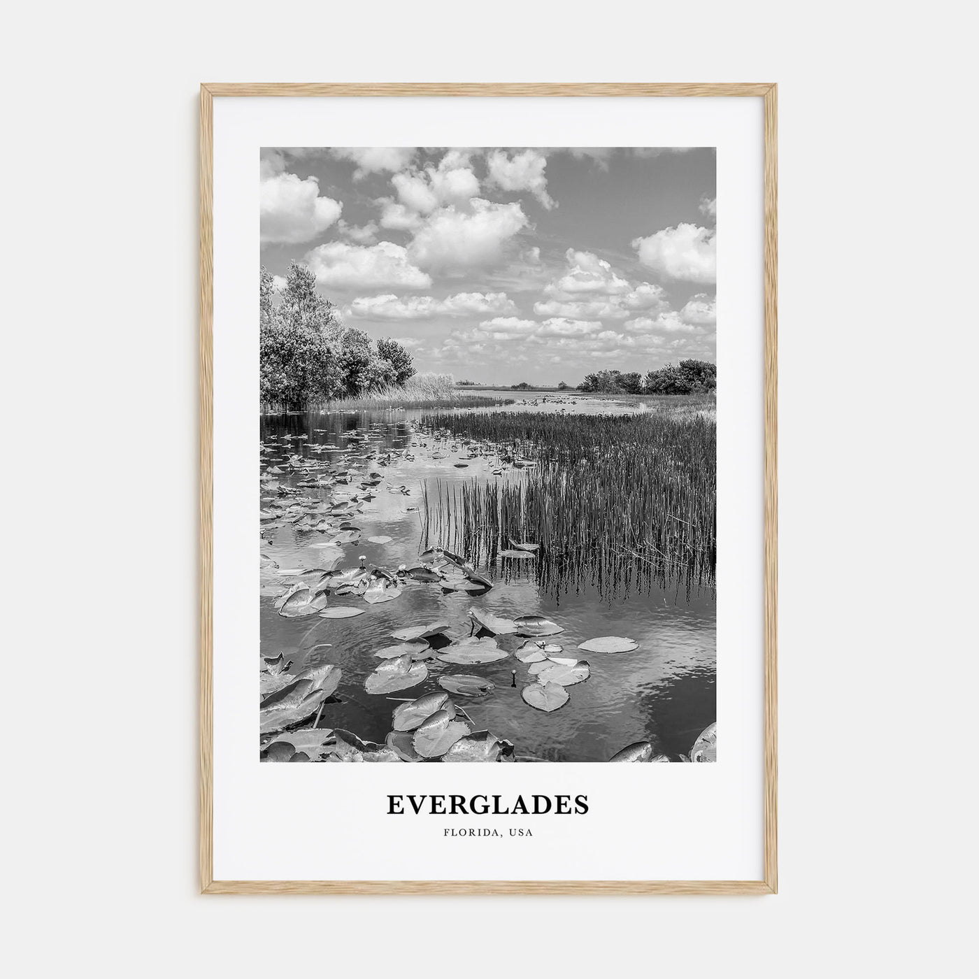 Everglades National Park Portrait B&W Poster
