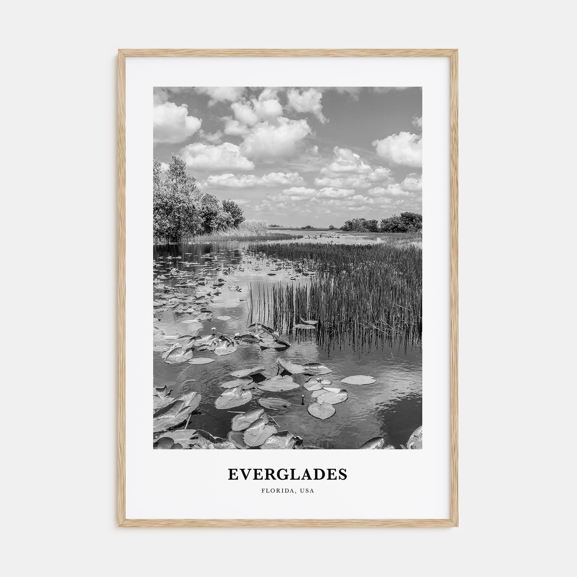 Everglades National Park Portrait B&W Poster