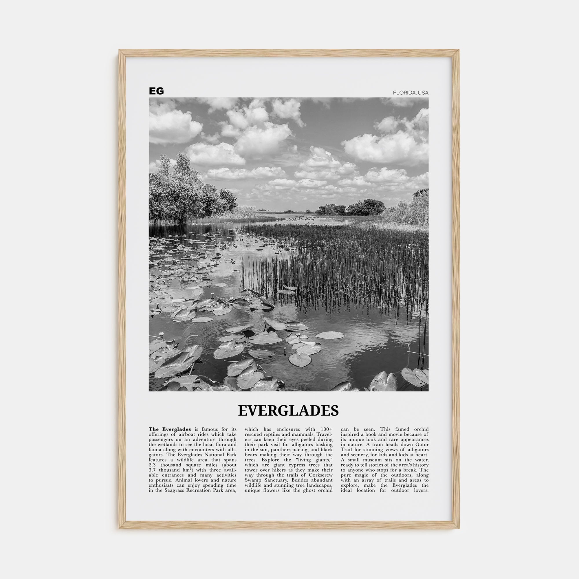Everglades National Park Travel B&W Poster