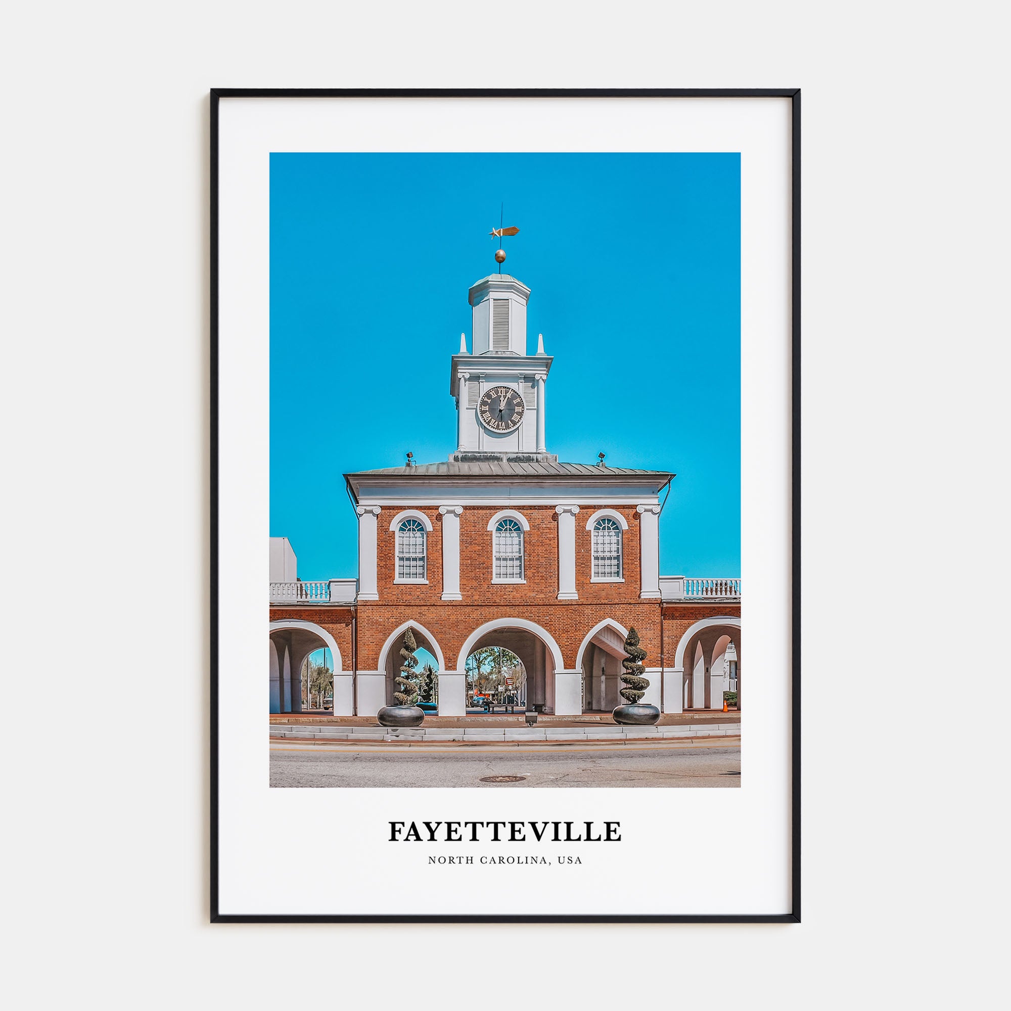 Fayetteville, North Carolina Portrait Color Poster