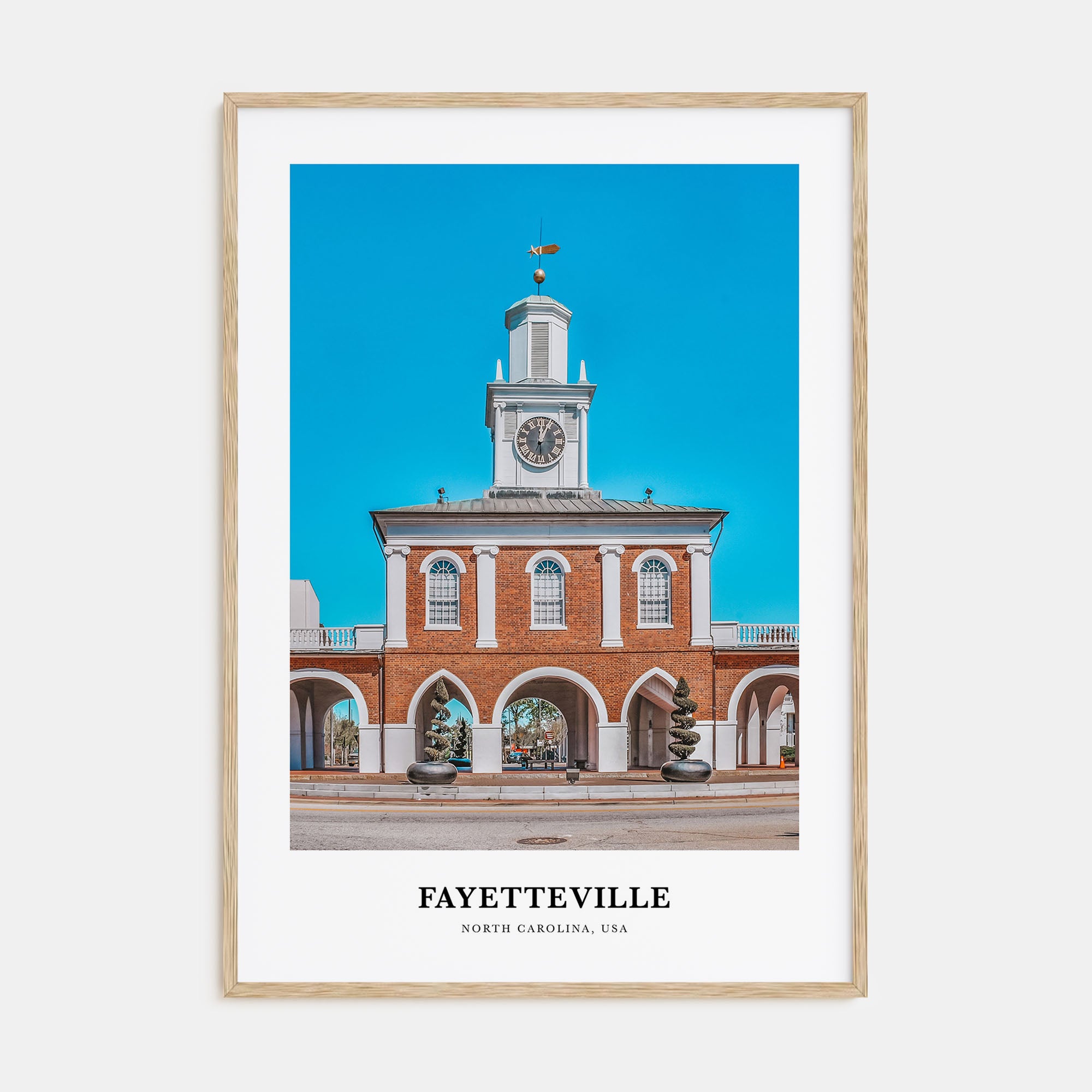 Fayetteville, North Carolina Portrait Color Poster