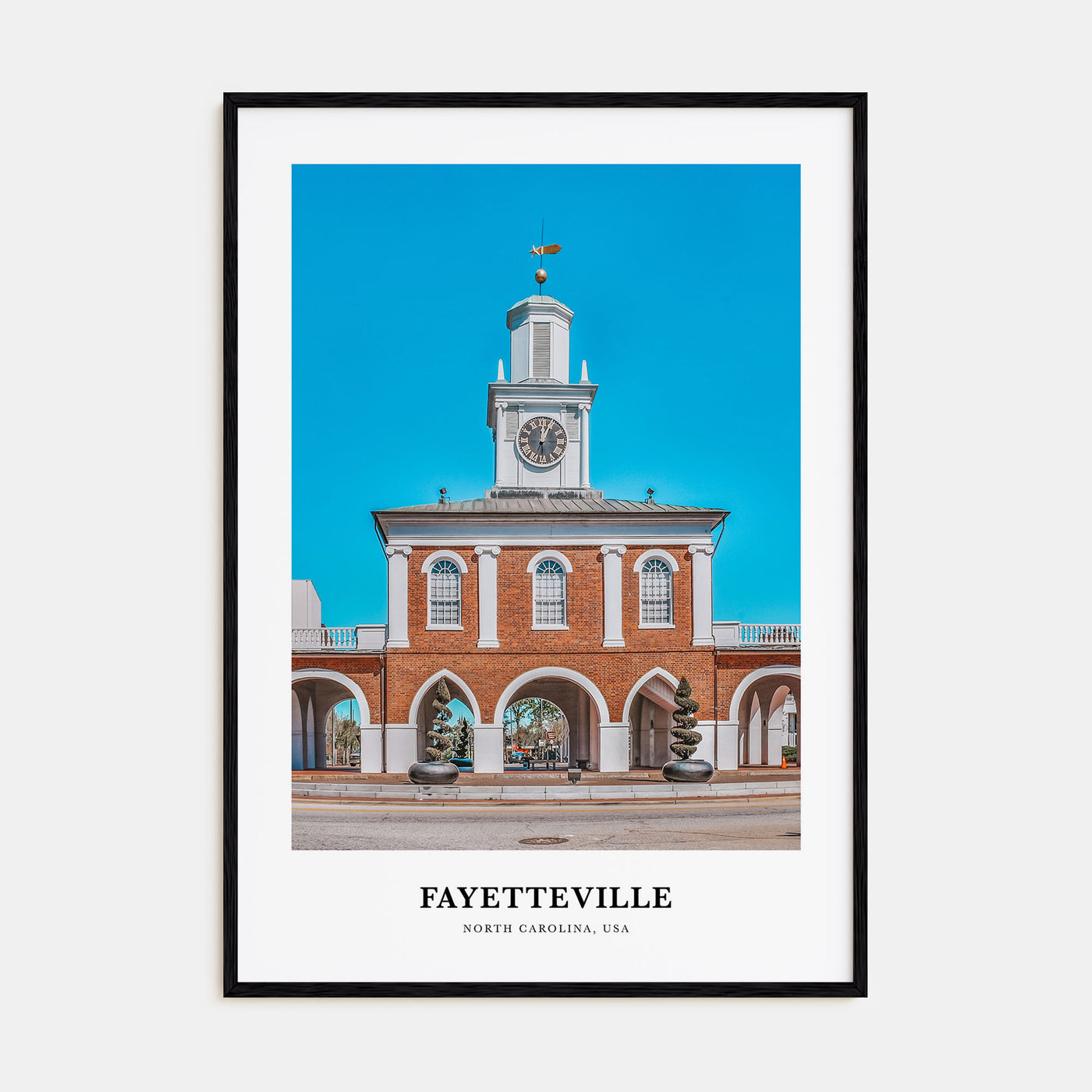 Fayetteville, North Carolina Portrait Color Poster