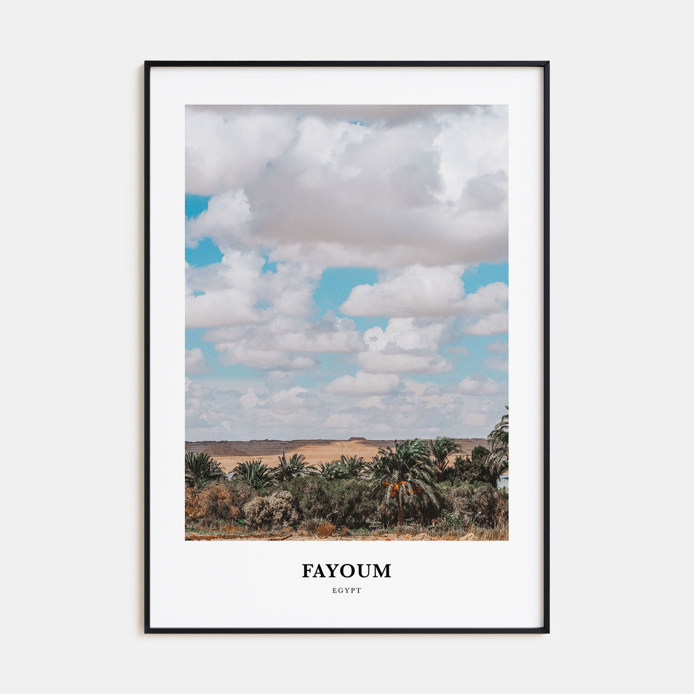 Fayoum Portrait Color Poster