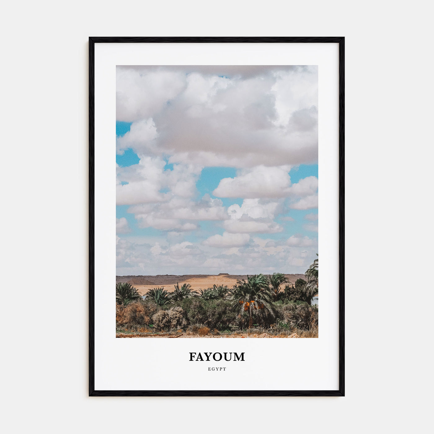 Fayoum Portrait Color Poster