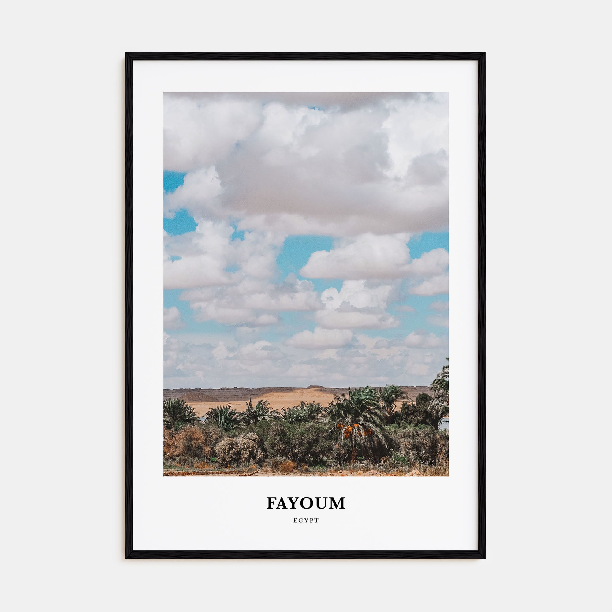 Fayoum Portrait Color Poster