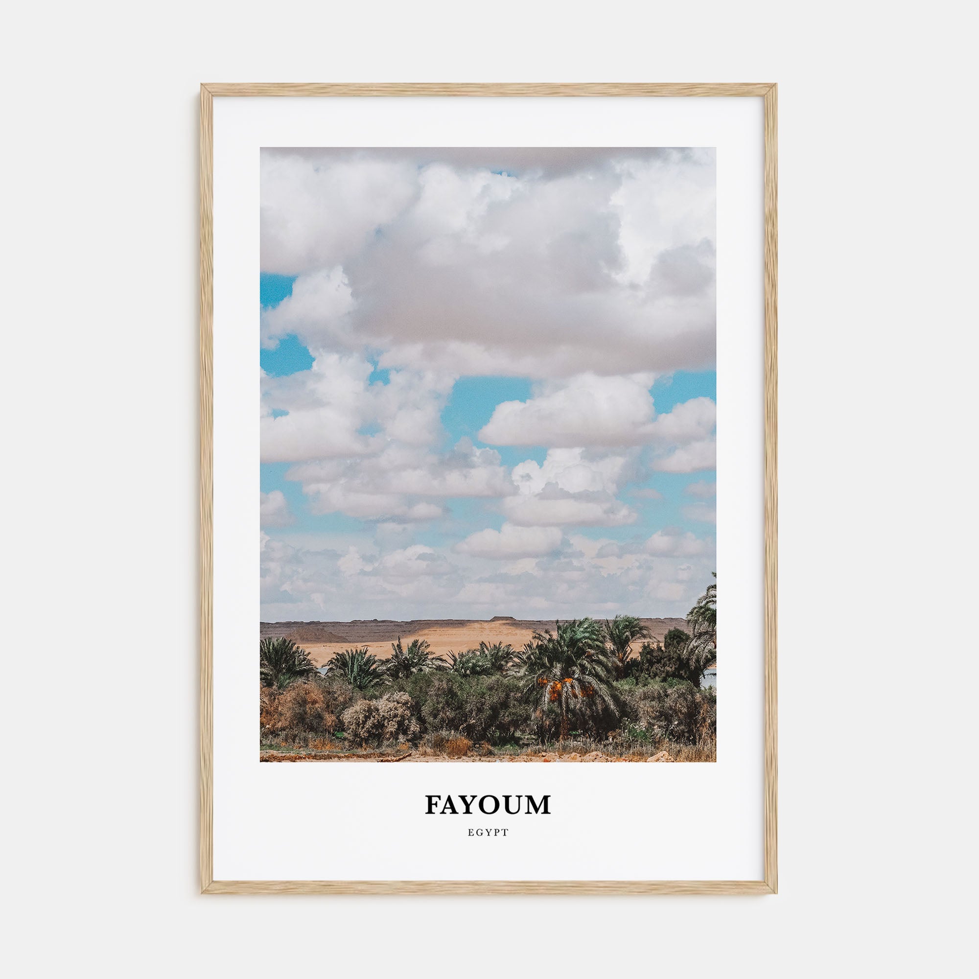 Fayoum Portrait Color Poster