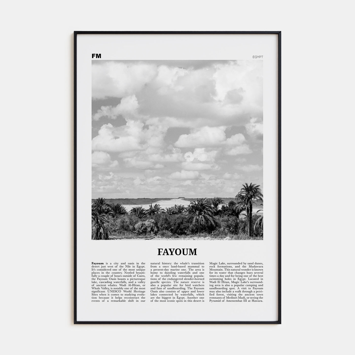 Fayoum Travel B&W Poster