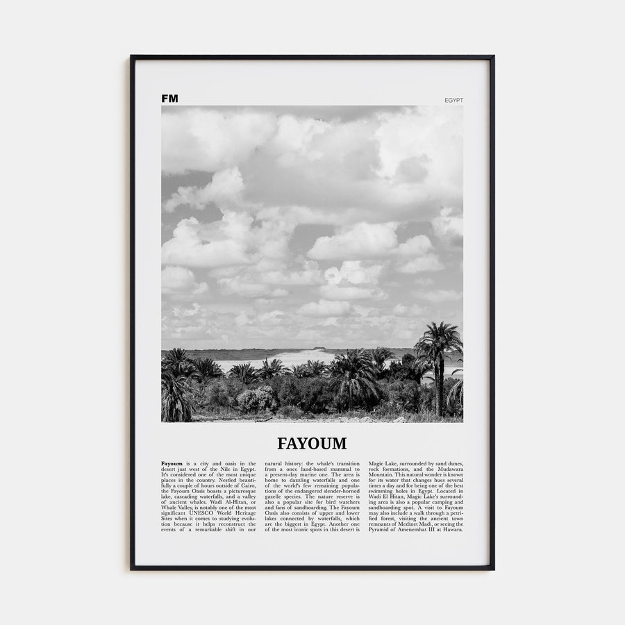 Fayoum Travel B&W Poster